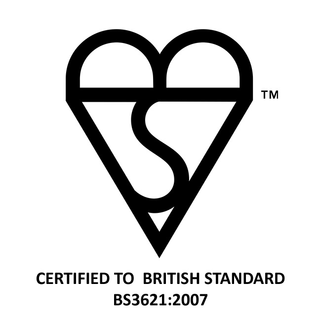 BSI Logo